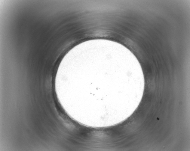 X0000068300534200605051935