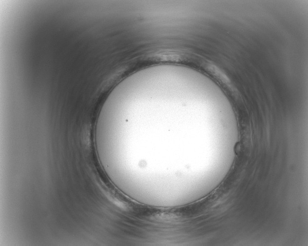 X0000068300537200605051935