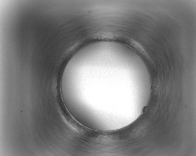 X0000068300538200605051935