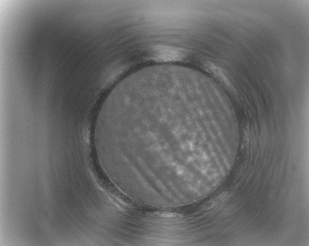 X0000068300539200605051935