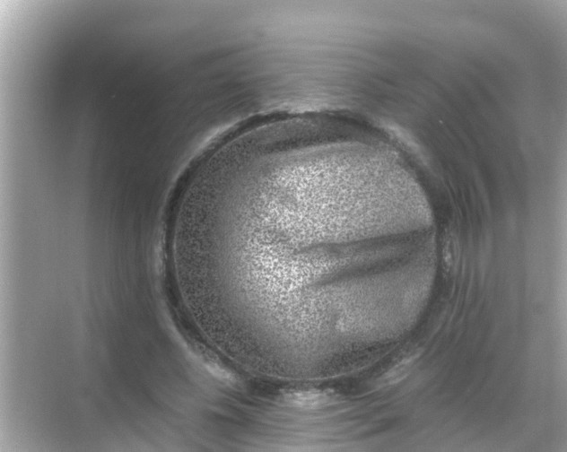 X0000068300540200605051935