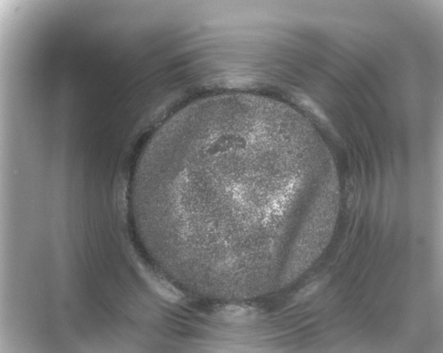 X0000068300542200605051936