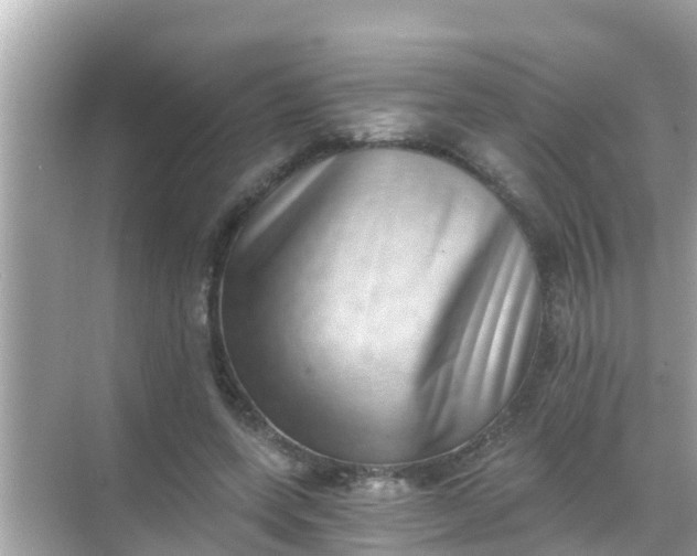 X0000068300543200605051936