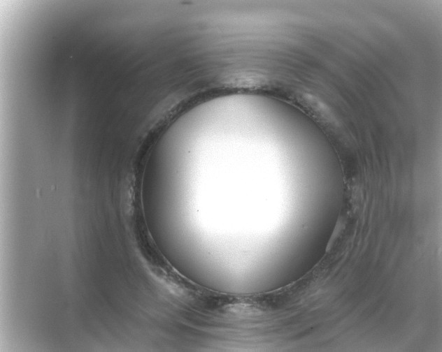 X0000068300544200605051936