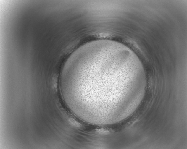 X0000068300545200605051936