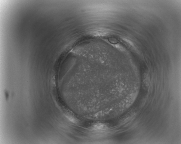 X0000068300547200605051936