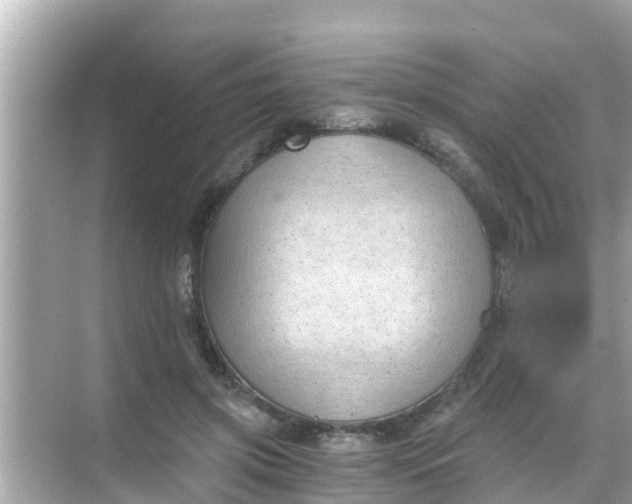 X0000068300549200605051936