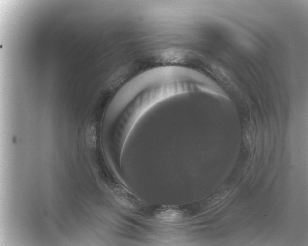 X0000068300551200605051936