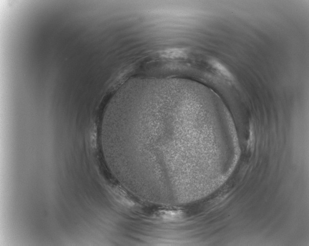 X0000068300552200605051936