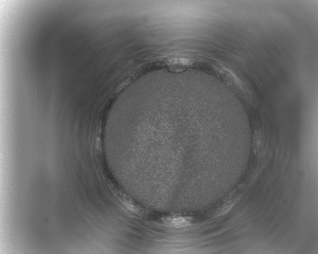 X0000068300553200605051936