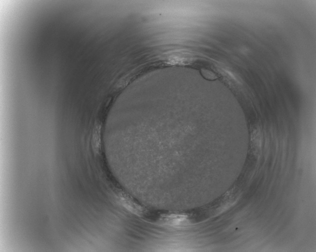 X0000068300554200605051936