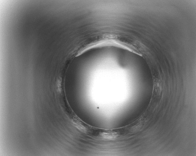 X0000068300556200605051936