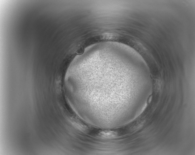 X0000068300557200605051936