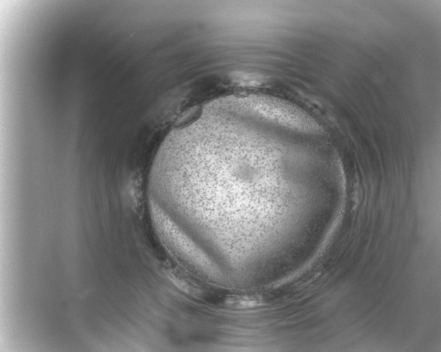 X0000068300559200605051936