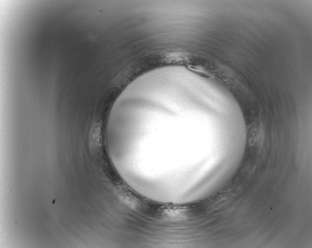 X0000068300560200605051936