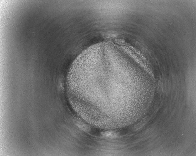 X0000068300561200605051936