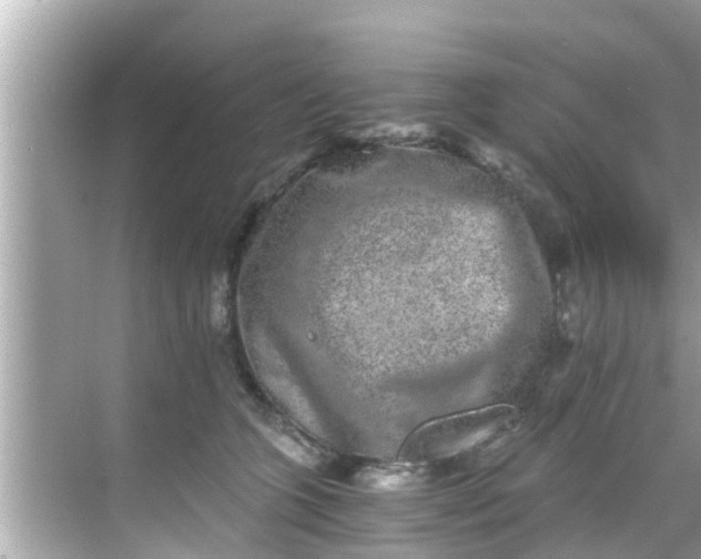 X0000068300563200605051936