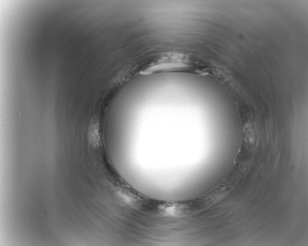 X0000068300564200605051936