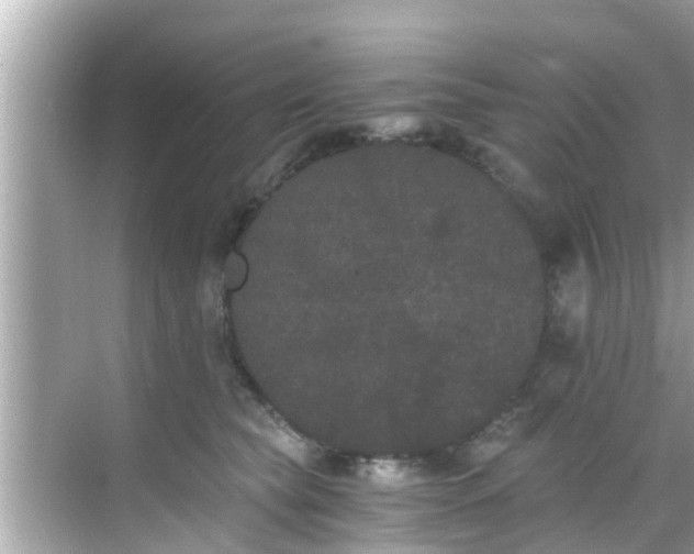 X0000068300565200605051936