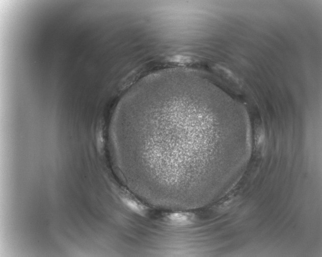 X0000068300566200605051936