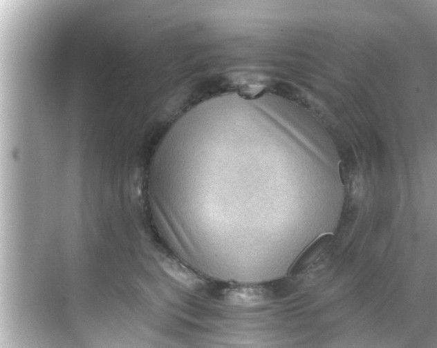 X0000068300567200605051936