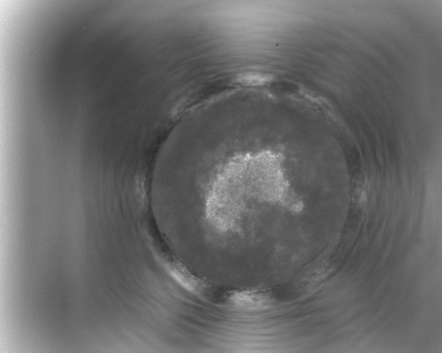 X0000068300568200605051936