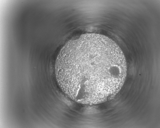 X0000068300569200605051936