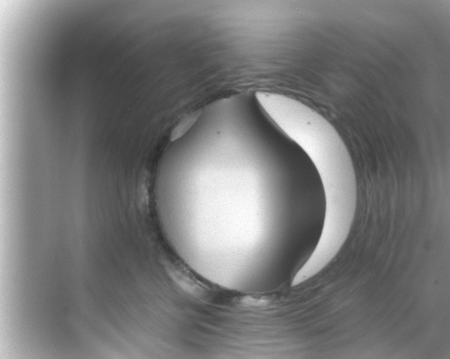 X0000068300570200605051936