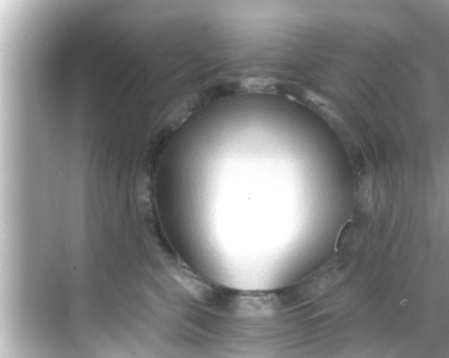 X0000068300571200605051936