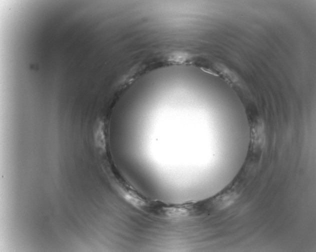 X0000068300572200605051936