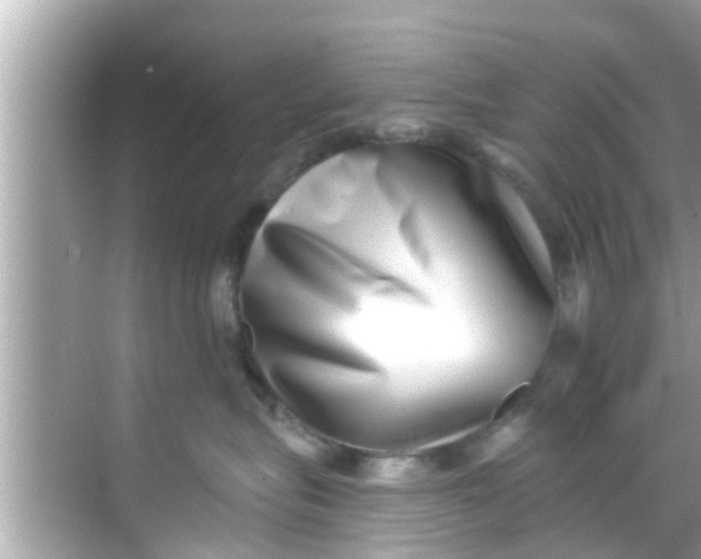 X0000068300575200605051936