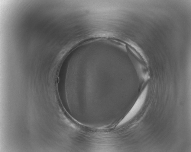 X0000068300577200605051935