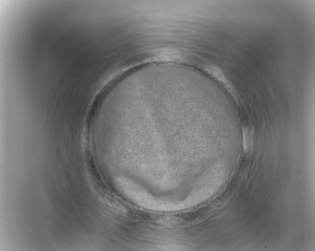 X0000068300579200605051935