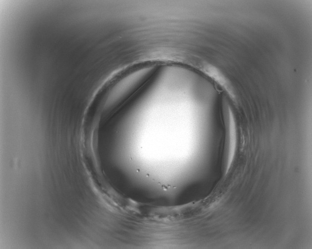 X0000068300580200605051935