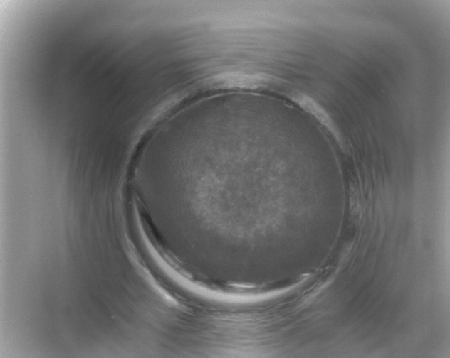 X0000068300581200605051935