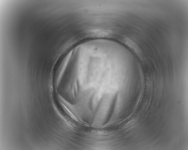 X0000068300582200605051935