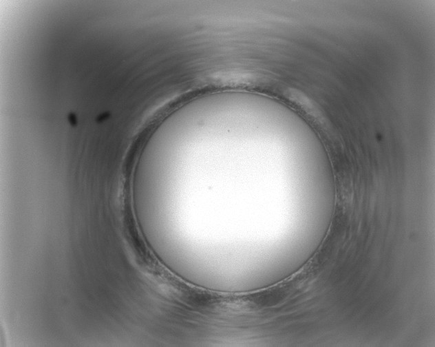 X0000068300583200605051935