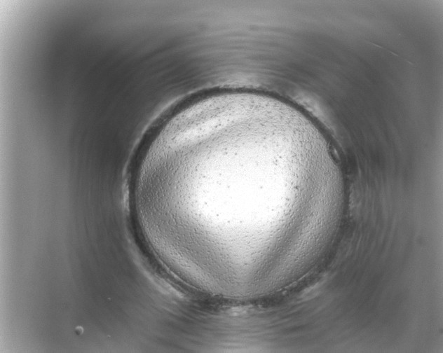 X0000068300584200605051935