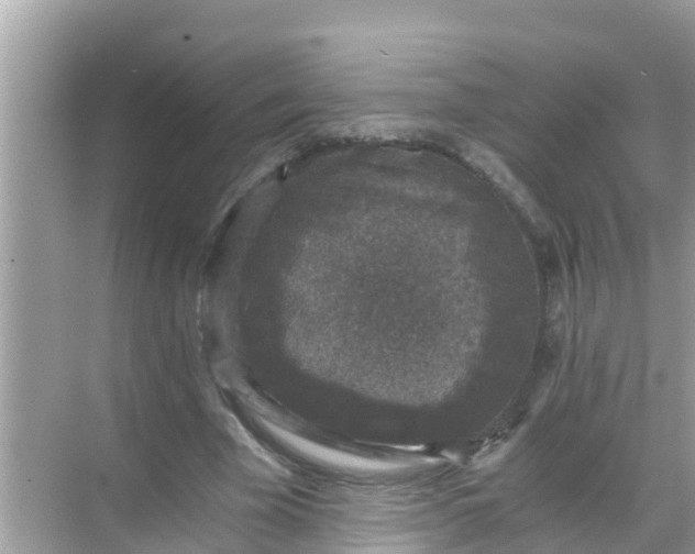 X0000068300585200605051935