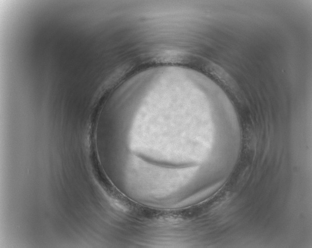 X0000068300586200605051935