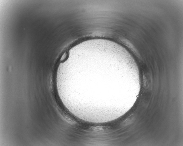 X0000068300588200605051935