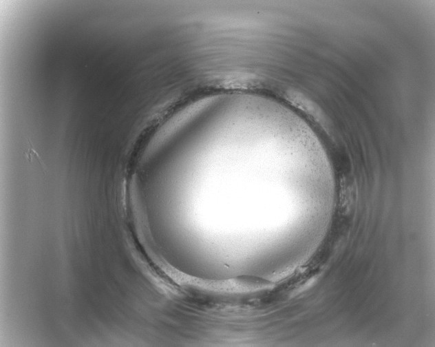 X0000068300589200605051935