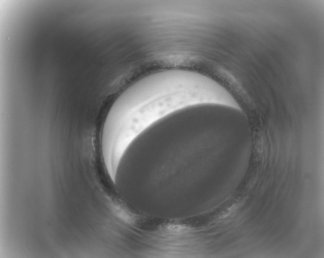 X0000068300590200605051935