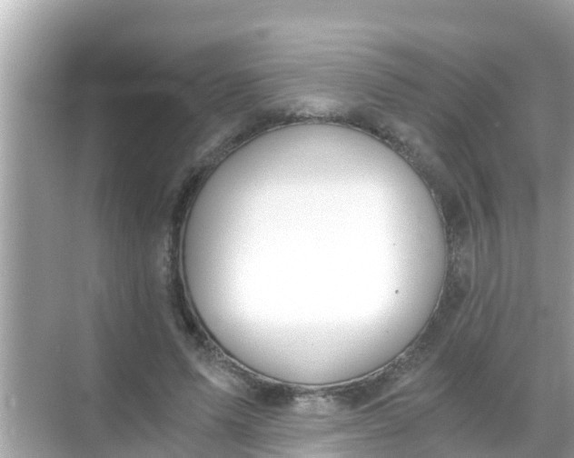 X0000068300591200605051935