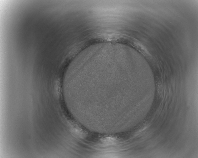 X0000068300594200605051935