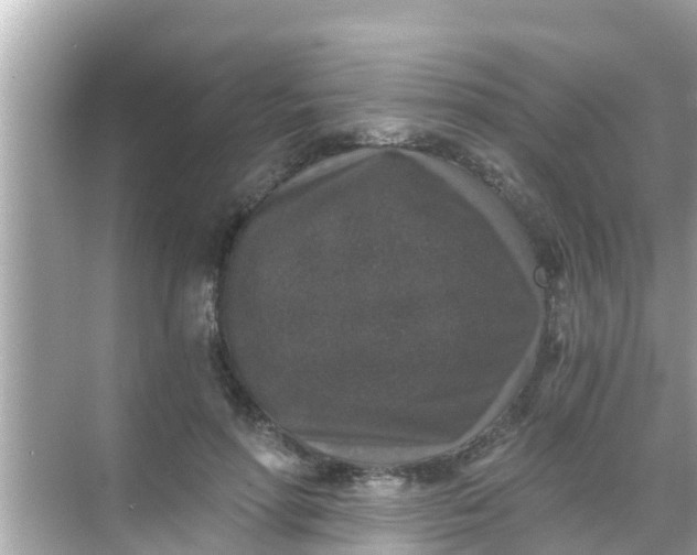 X0000068300598200605051935