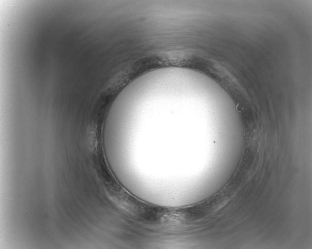 X0000068300599200605051935