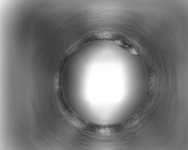 X0000068300600200605051935