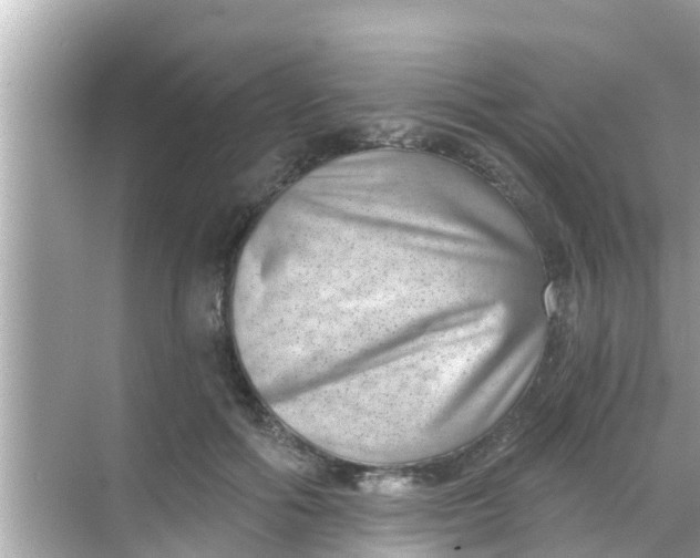 X0000068300602200605051935