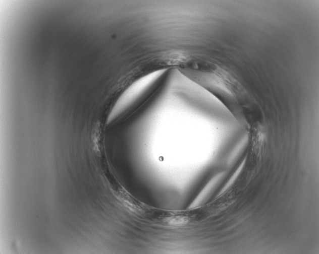 X0000068300604200605051935